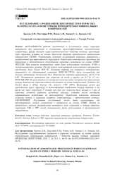 Исследование аэродинамических процессов в пористых материалах на основе трижды периодических минимальных поверхностей