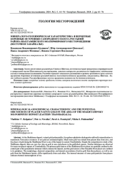 МИНЕРАЛОГО-ГЕОХИМИЧЕСКАЯ ХАРАКТЕРИСТИКА И ВЕРОЯТНЫЕ КОРЕННЫЕ ИСТОЧНИКИ САМОРОДНОГО ЗОЛОТА РОССЫПЕЙ РАЙОНА ШАХТАМИНСКОГО MO-ПОРФИРОВОГО МЕСТОРОЖДЕНИЯ (ВОСТОЧНОЕ ЗАБАЙКАЛЬЕ)