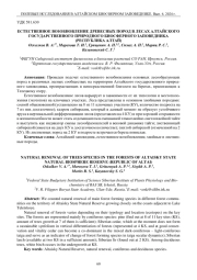 ЕСТЕСТВЕННОЕ ВОЗОБНОВЛЕНИЕ ДРЕВЕСНЫХ ПОРОД В ЛЕСАХ АЛТАЙСКОГО ГОСУДАРСТВЕННОГО ПРИРОДНОГО БИОСФЕРНОГО ЗАПОВЕДНИКА (РЕСПУБЛИКА АЛТАЙ)