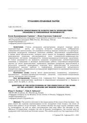 ВОПРОСЫ ЭФФЕКТИВНОСТИ ОСМОТРА МЕСТА ПРОИСШЕСТВИЯ: ПРОБЛЕМЫ И СОВРЕМЕННЫЕ ВОЗМОЖНОСТИ