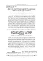 ИССЛЕДОВАНИЯ МИКРОБИОЛОГИЧЕСКИХ ПРОЦЕССОВ ТРАНСФОРМАЦИИ ПОЛИЦИКЛИЧЕСКИХ АРОМАТИЧЕСКИХ УГЛЕВОДОРОДОВ В АМУРСКОМ ЛИМАНЕ