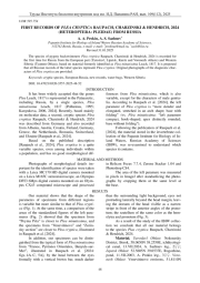 ПЕРВЫЕ УКАЗАНИЯ PLEA CRYPTICA RAUPACH, CHARZINSKI & HENDRICH, 2024 (HETEROPTERA: PLEIDAE) ИЗ РОССИИ