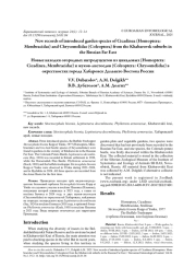 Новые находки огородных интродуцентов из цикадовых (Homoptera: Cicadinea, Membracidae) и жуков-листоедов (Coleoptera: Chrysomelidae) в окрестностях города Хабаровск Дальнего Востока России