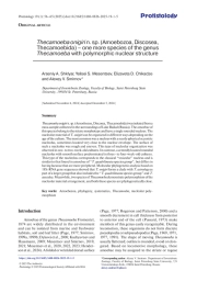 THECAMOEBA ONIGIRI N. SP. (AMOEBOZOA, DISCOSEA, THECAMOEBIDA) - ONE MORE SPECIES OF THE GENUS THECAMOEBA WITH POLYMORPHIC NUCLEAR STRUCTURE