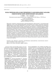 РОЛЬ ГИППОКАМПА В ВОСПРИЯТИИ И ЗАПОМИНАНИИ ЗАПАХОВ. ГИПОТЕТИЧЕСКИЙ НЕЙРОННЫЙ МЕХАНИЗМ