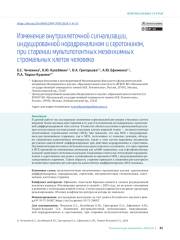 Изменение внутриклеточной сигнализации, индуцированной норадреналином и серотонином, при старении мультипотентных мезенхимных стромальных клеток человека