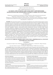 ПЛАЦЕНТА ПРИ ХРОНИЧЕСКОЙ ГЕРПЕСВИРУСНОЙ ИНФЕКЦИИ: МОРФОЛОГИЧЕСКИЕ ИЗМЕНЕНИЯ И ПЕРИНАТАЛЬНЫЕ ПОСЛЕДСТВИЯ