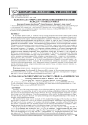 ПАТОЛОГОАНАТОМИЧЕСКОЕ ПРОЯВЛЕНИЕ ЯЗВЕННОЙ БОЛЕЗНИ ЖЕЛУДКА У УБОЙНЫХ СВИНЕЙ