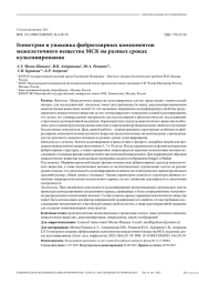 Геометрия и упаковка фибриллярных компонентов межклеточного вещества МСК на разных сроках культивирования