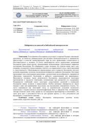 ЛАБИРИНТЫ ИСЛАМСКОЙ И БИБЛЕЙСКОЙ ИММОРТОЛОГИИ