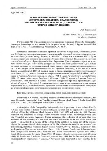 ON THE ZENKENBERG RESEARCH INSTITUTE COLLECTION OF CRANGONID SHRIMPS (CRUSTACEA: DECAPODA: CRANGONIDAE) FROM TOSA BAY WATERS (SHIKOKU ISLAND, JAPAN)