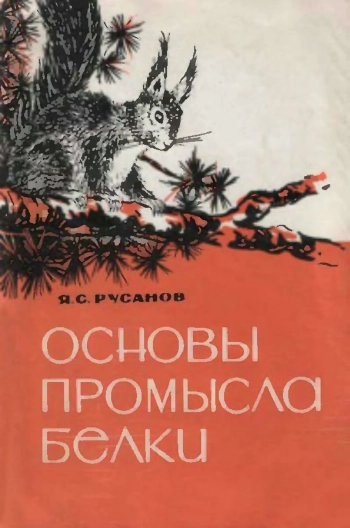 Основы промысла белки