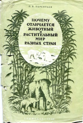 Почему отличается растительный и животный мир разных стран. О географическом распространении организмов